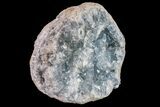 Sky Blue Celestine (Celestite) Geode ( Lbs) - Madagascar #156517-1